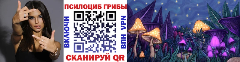 Псилоцибиновые грибы мицелий  kraken зеркало  Нариманов  закладка 